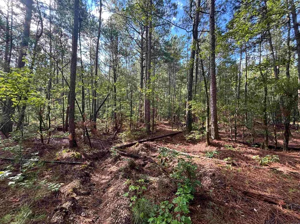 S Tract Grant County Rd #68, Sheridan, AR 72150