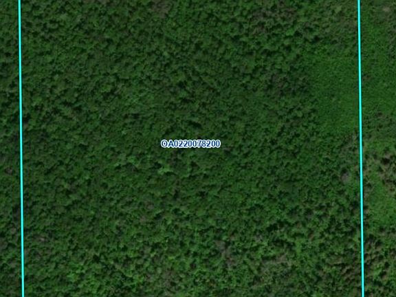 4th image of 40ac E County Road B Road