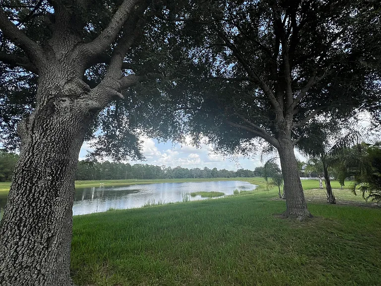 16837 Sunrise Vista Dr — Photo 14