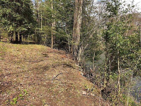 5th image of 6562 Charlotte Creek Rd