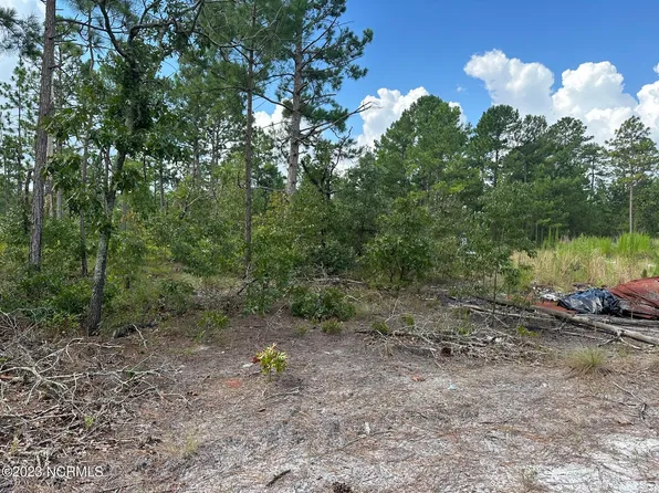 432 & 440 Brians Woods Road, Maple Hill, NC 28454