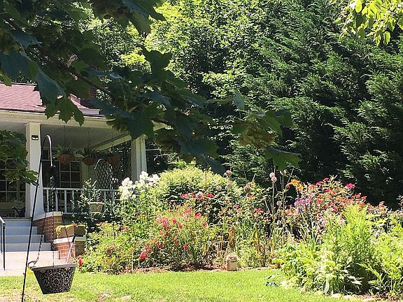 Front Gardens in Late Summer