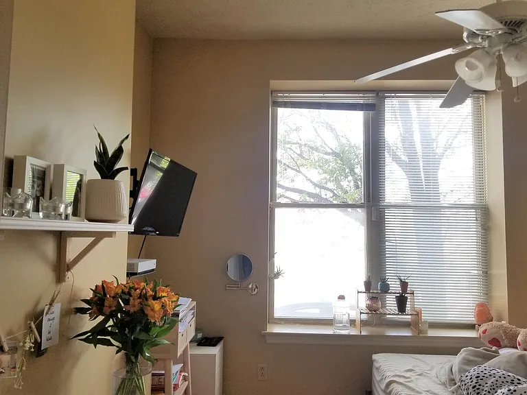 1110 Bingham St #1 — Photo 13