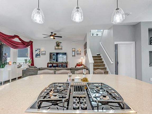 Gas Stove