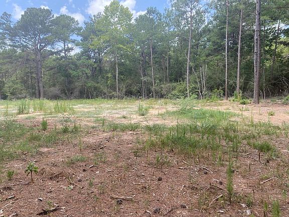 4th image of 15310 Thistle Down Rd