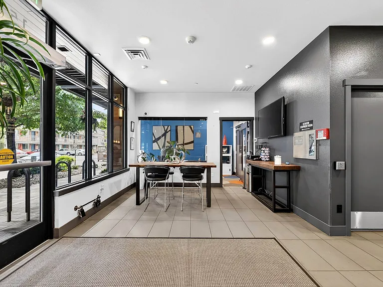 Vive Ballard — Photo 20
