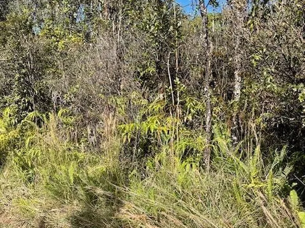 Road 6 Ooaa Lot 4443, Kurtistown, HI 96760