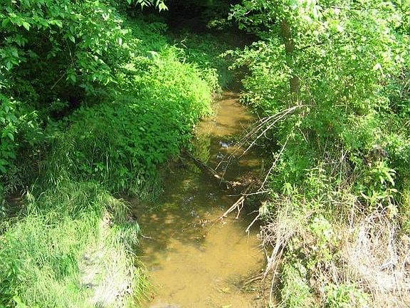 Spring Run Creek behind property
