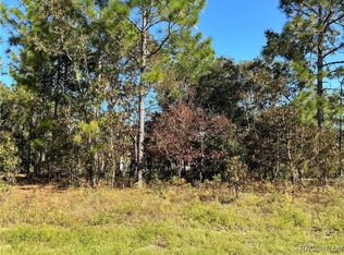 2453 W Newhope Ln, Citrus Springs, FL 34434