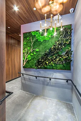 Rented by Compass | media 28