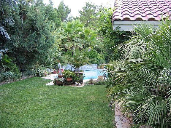 Enclosed back yard w/pool 