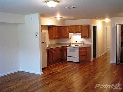 Oak Cabinents...