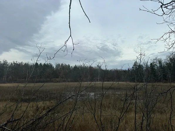 4810 Tote Rd, Comins, MI 48619