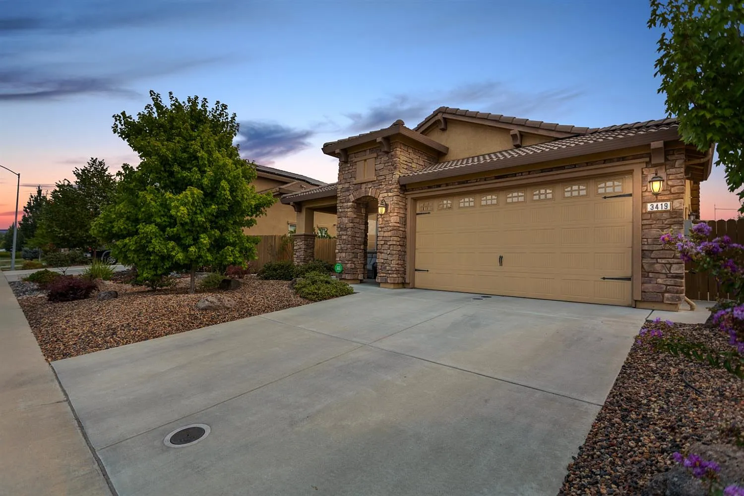 3419 Oselot Way photo 1