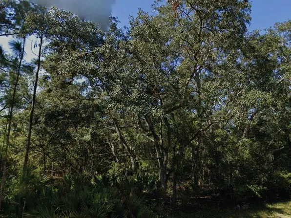 Theresa Ave #16, Interlachen, FL 32148