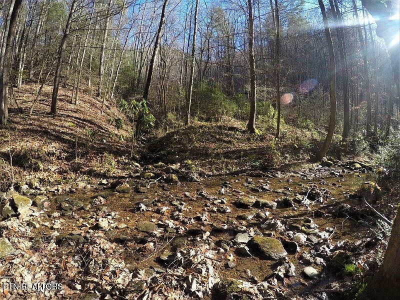 2nd image of 303 Chestnut Valley Rd