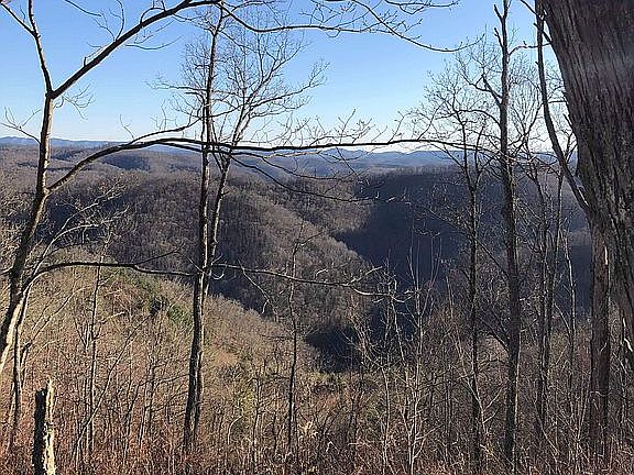 4th image of 0 Greasy Creek Rd