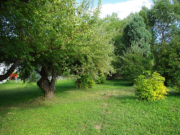 Side Orchard