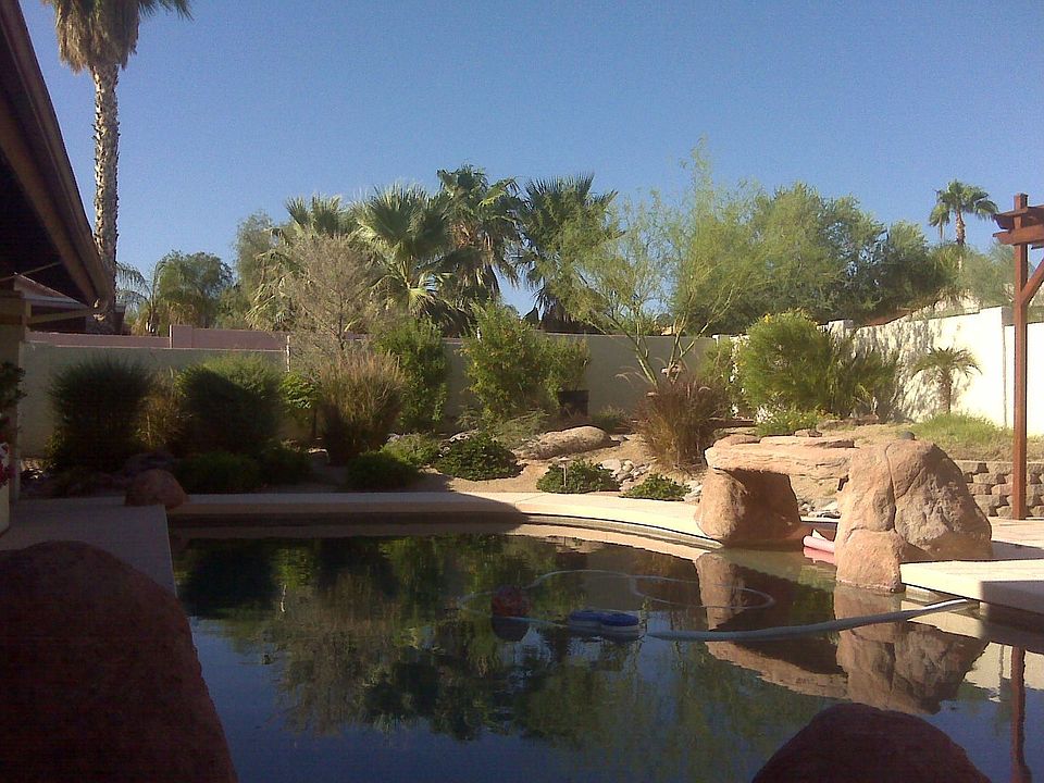 Backyard shot