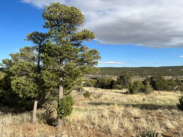 Black, Walsenburg, CO 81089