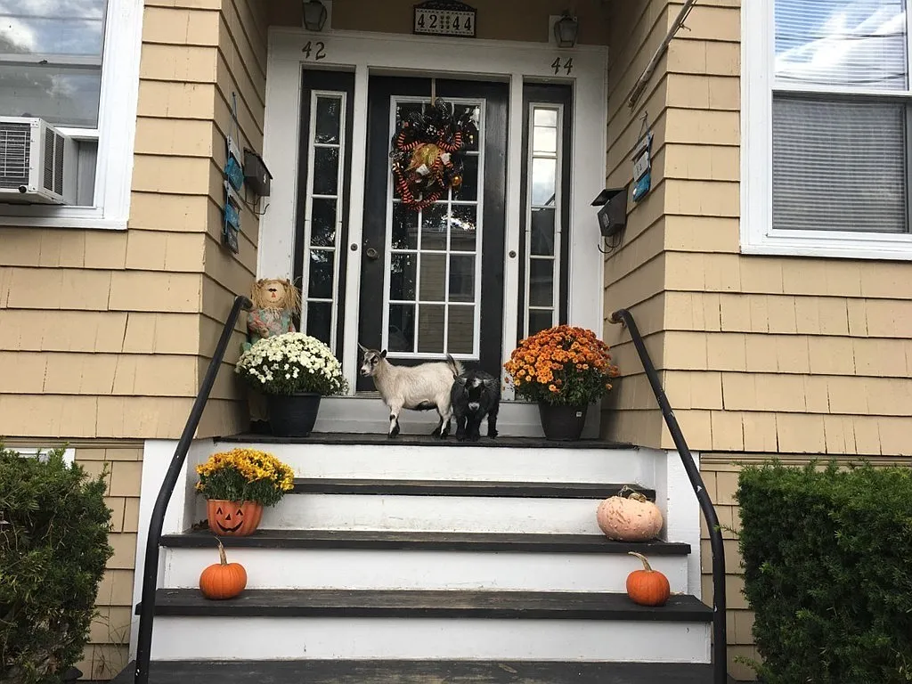 Building Photo - 44 Sculpin Way #44