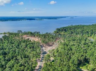 157 Cove Ln, Brookeland, TX 75931