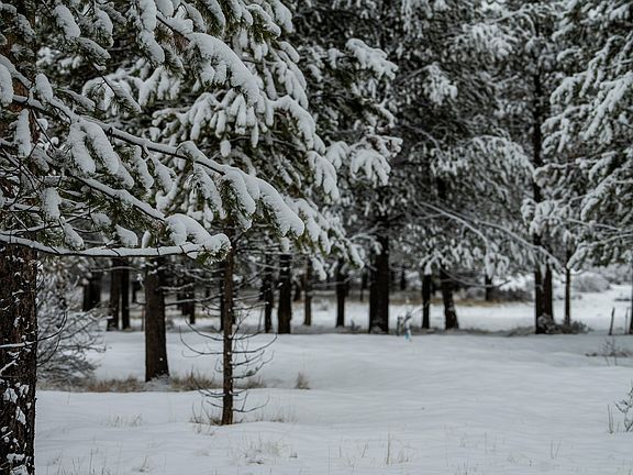 5th image of 56340 Twin Rivers Dr