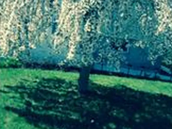86-88 2nd St, Harrison, NY 10528