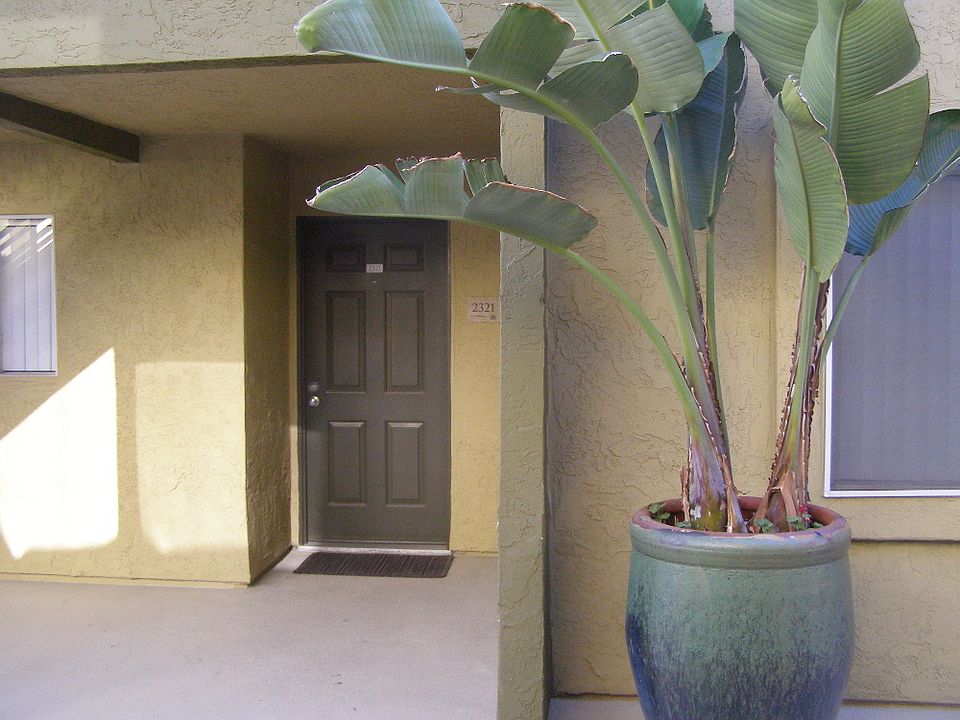 1st image of 7405 Charmant Dr #2321