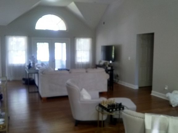 Main Floor has Bamboo Floors