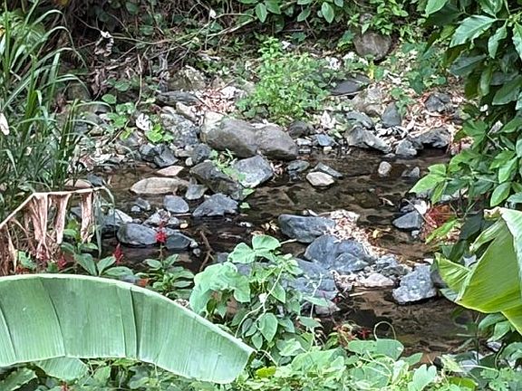 4th image of 810 Finca Barrio Achiote En Naranjito #810