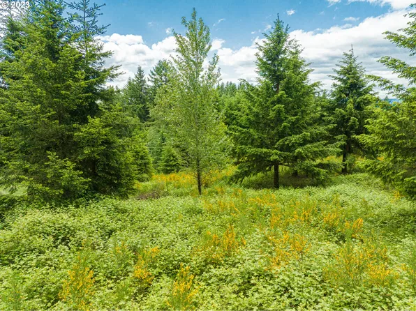 125 Vineyard View Dr, Woodland, WA 98674