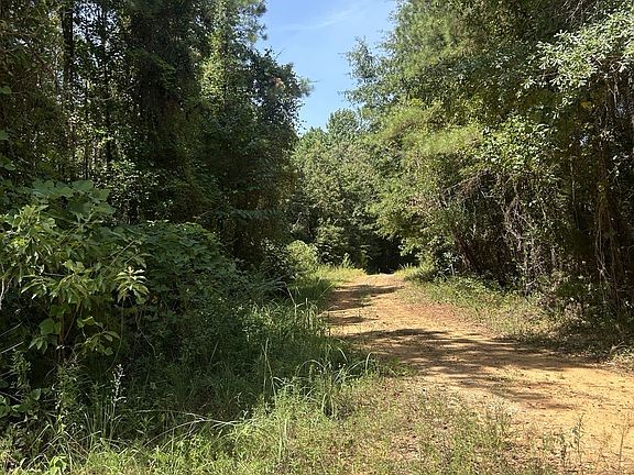 3rd image of 0 Martin Rd #Road;