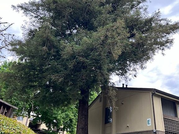 3rd image of 355 Parkview Ter APT E2