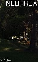 1st image of Horseshoe Blvd