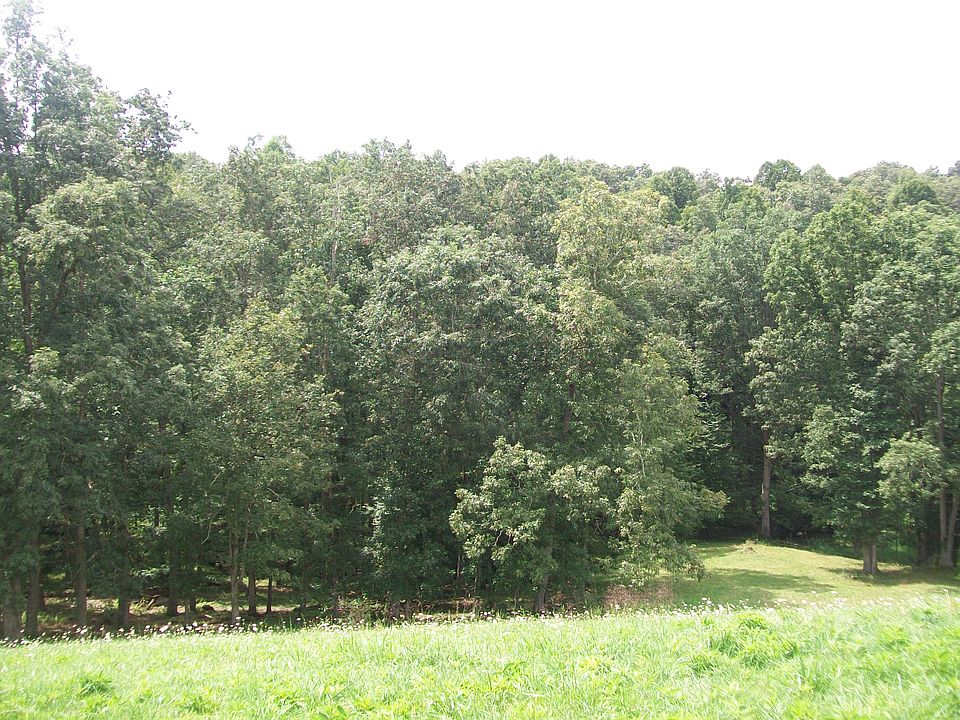 2nd image of 145 Wild Turkey Rd