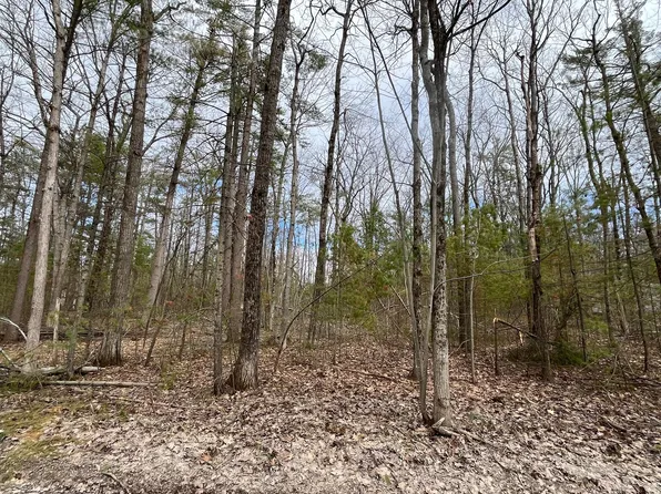 Chippewa Beach Rd, Indian River, MI 49749