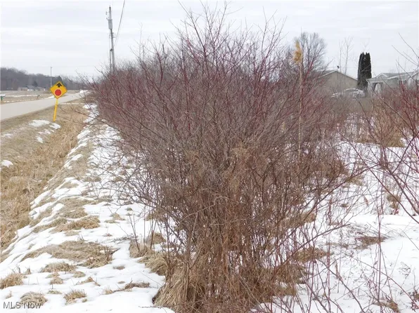 Tische Rd, Rock Creek, OH 44084