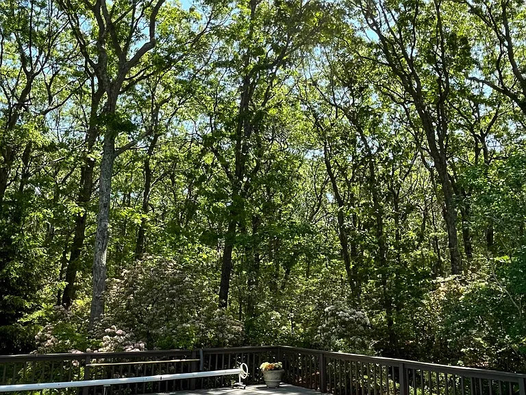 224 Widow Gavits Rd — Photo 25