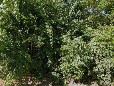 26654 W Woodland Ave, Antioch, IL, 60002