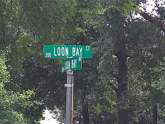 2nd image of 209 Loon Bay Ct