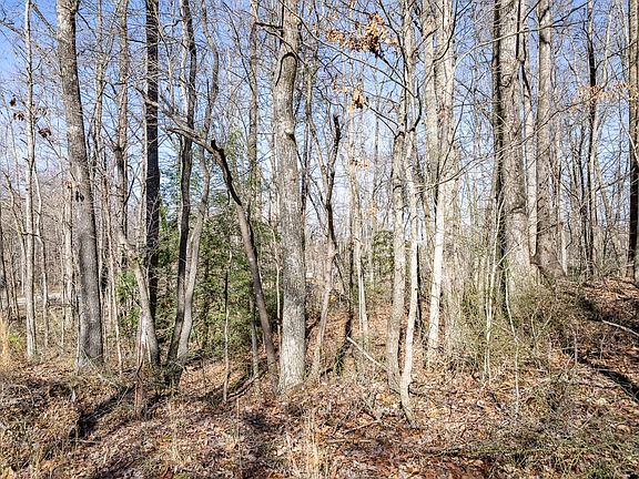 5th image of 0 Old Altamont Rd