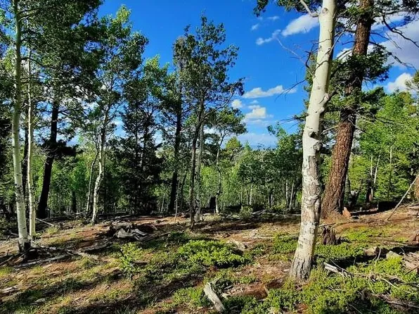 1307 Blacksmith Road LOT 1409, Hartsel, CO 80449