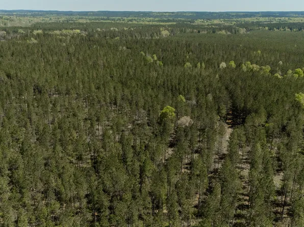 0 Point Wanita Lake Rd, Meridian, MS 39301