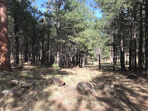 2nd image of 646 Krohn Ln