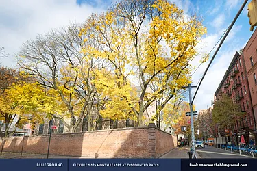 Rented by The Blueground