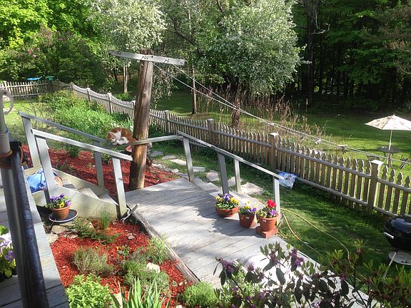 View to the lower back yard 