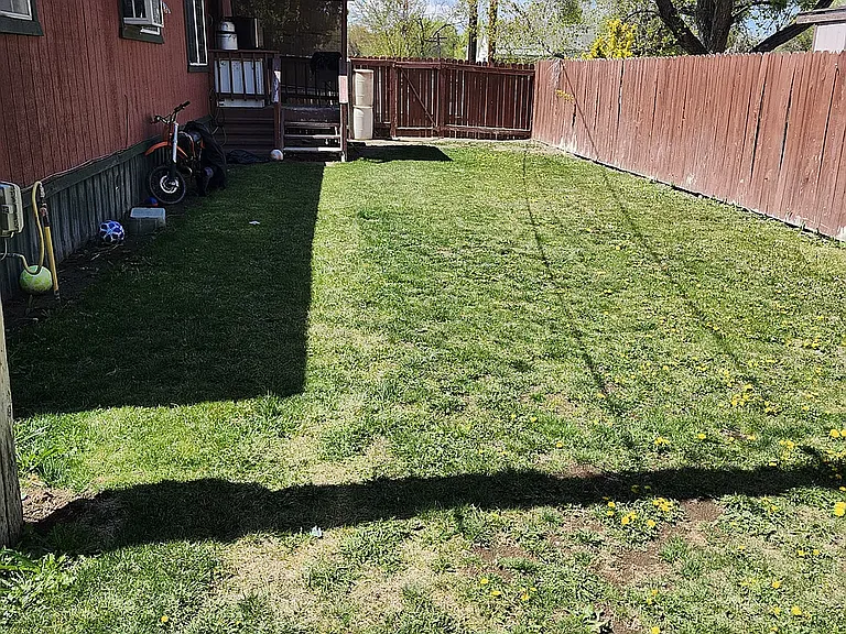 Back lawn