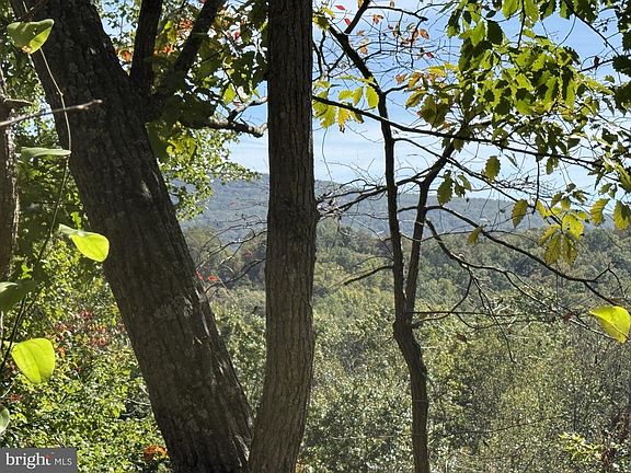 5th image of 59 Old Oregon Rd