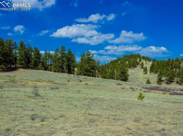 1457 County Road 12, Florissant, CO 80816